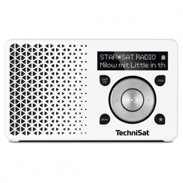 TECH-DIGITRADIO1-weiss/silber