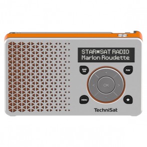 TECH-DIGITRADIO1-silber/orange